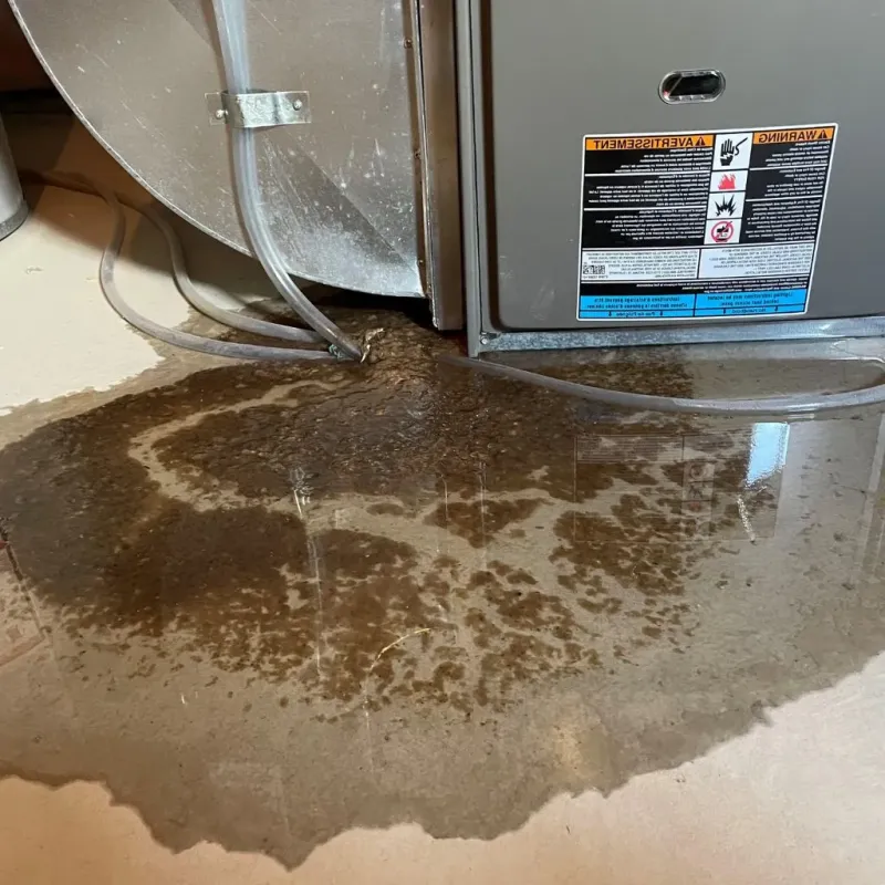 Pipe Burst and Leak Restoration in Dundee, NY