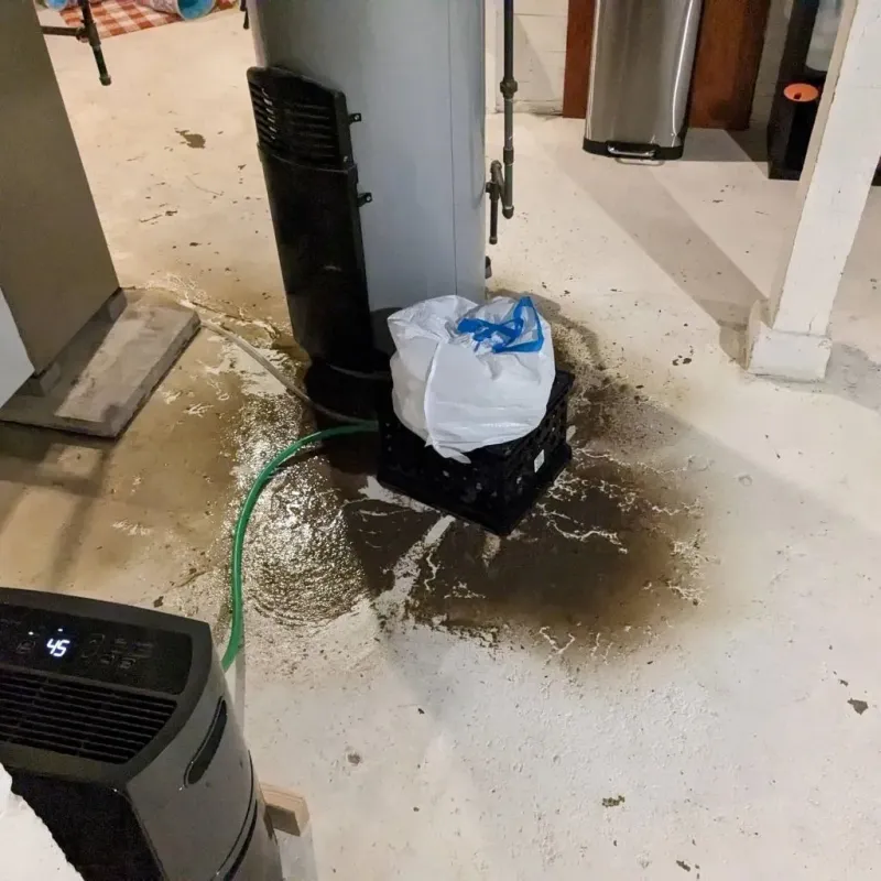 Sewage Backup Cleanup Service in Dundee, NY